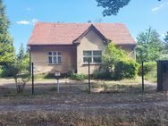 Wunderbares Grundstück mit Handwerkerhaus - Falkensee