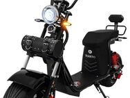 Rolektro E-Motorroller E-Chopper 45, 60V-25,6Ah Lithium-Akku, 3000 Watt, 3500 W, 45 km/h, bis zu 54 km Reichweite, mit USB-Anschluss und integr. Alarmanlage