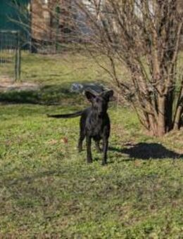 ANOUSH - unterwegs Abenteuer erleben - Overath