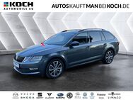 Skoda Octavia, 1.4 TSI Drive, Jahr 2017 - Ludwigsfelde