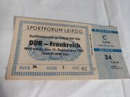 Altes Fußballticket Qualifikation zur WM DDR - Frankreich 11.09.1986 / Ostalgie - Zeuthen