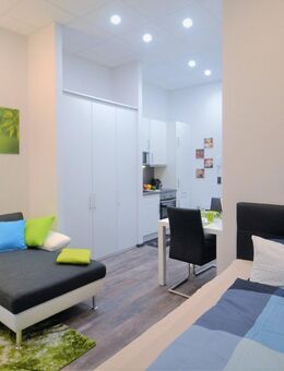 Wohnliches 1-Zimmer-Apartment, bequem eingerichtet, direkt in der City Aschaffenburg - Aschaffenburg