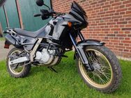 Aprilia Pegaso 650 - Münster