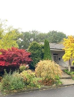 EINFAMILIENHAUS MIT ELW UND GROSSEM GRUNDSTÜCK ... - Künzell