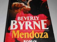 Roman „Mendoza“, Taschenbuch, Heyne Verlag, - Cottbus