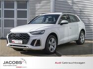 Audi Q5, 40TDI qu 2xS line, Jahr 2021 - Düren