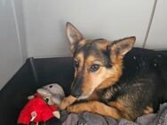Schenkst du Eva dein Herz? - München