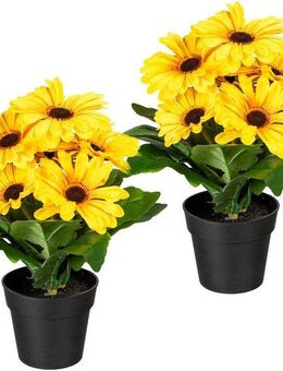 Kunstpflanze Elaine Gerbera, my home, Höhe 27 cm, im Topf, 2er Set