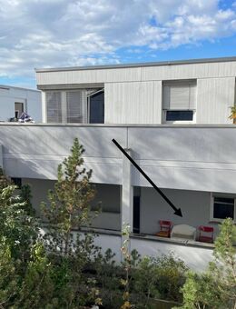 Kapitalanlage nahe der UNI - Konstanz