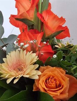 3-Zimmer-Eigentumswohnung mit Balkon unweit der Universitätsklinik - Rostock