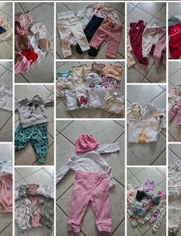 Baby Kleidungspaket 50/56 bis 62/68 - Lüneburg