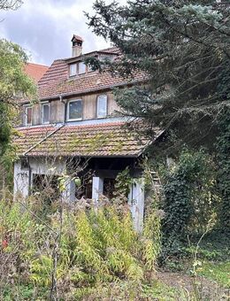 Nix für Stümper & Murkser: Sanierungsbedürftiges Haus sucht Bauprofi... aber das Grundstück ist ein kleines Paradies - Ofterdingen