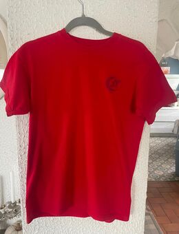 Fruit of the Loom T-Shirt • Größe S • Rot • USV Halle Tischtennis - Groß Zimmern