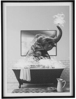 Creativ home Bild mit Rahmen Leinwandbild Elefant in Badewanne, (1 St), mit Rahmen