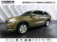 Skoda Kodiaq, 1.5 TSI m-HEV Selection, Jahr 2024 - Ludwigsfelde