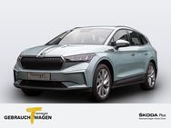 Skoda ENYAQ iV, 60 LM20, Jahr 2021 - Werdohl