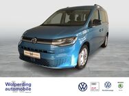 VW Caddy, 2.0 TDI Life, Jahr 2020 - Winsen (Luhe)