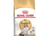 Royal Canin Ragdoll Adult - 2 kg