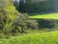 Großes Grundstück, bestens geeignet für Investor, Bauherren und Personen, die das Besondere suchen. - Hausen (Wied)