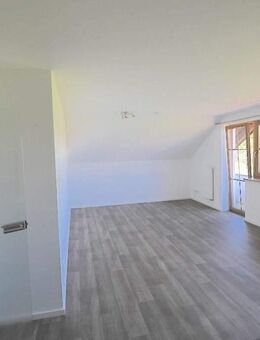 Schmatzhausen - Wunderschöne frisch sanierte, helle 4 Zimmerwohnung zum (fast) Erstbezug - Hohenthann