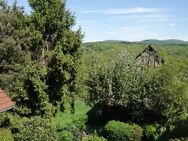 Schöne Lage - schöne Aussicht - viel Platz - viel Grün! - Eppstein