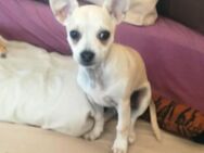 Tommy wartet auf seine Familie - Duisburg