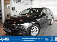 Skoda Octavia, 2.0 TDI Combi Ambition, Jahr 2021 - Blomberg (Nordrhein-Westfalen)