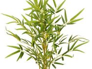 Kunstbaum Bambus, I.GE.A., Höhe 70 cm, Im Topf