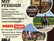 Abenteuer Reiterferien auf der schwäbischen Alb - Winterlingen