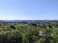 what a view! renovierte ETW auf der Ruhbank. - Pirmasens