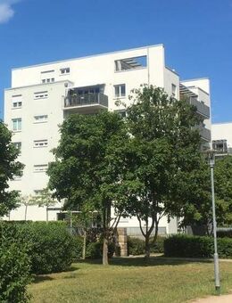 provisionsfrei: Gut vermietet am Park - Mainz