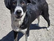 Wunderbare ♥Wilma♥ ist eine zarte Wucht - Hamburg