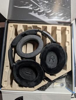 Sennheiser HD 490 Pro + 4,4mm Balanced Cable - Gingen (Fils)