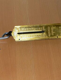 Taschenfederwaage, Kofferwaage mechanisch bis 25 kg - Düsseldorf