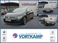 VW Golf VIII Lim. United 1.5 TSI LED-Plus + ACC - Gronau (Westfalen) Zentrum