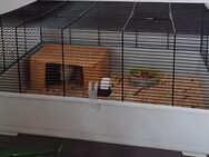 Meerschweinchen- oder Kaninchenstall - Görlitz