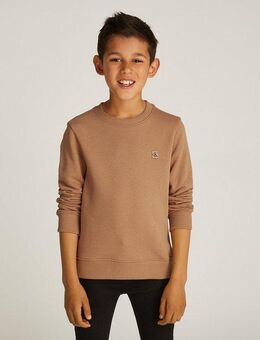 Calvin Klein Jeans Sweatshirt MONO MINI BADGE REG CN für Kinder bis 16 Jahre mit Logoschriftzug