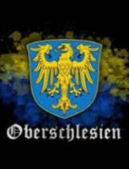 Akkordeonspieler aus Schlesien: deutsche, internationale Musik - Münster