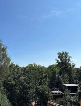 NEU RENOVIERT / BESTLAGE / BLICK INS GRÜNE / KASSBERG - Chemnitz