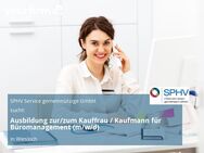 Ausbildung zur/zum Kauffrau / Kaufmann für Büromanagement (m/w/d) - Wiesloch