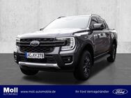 Ford Ranger, 3.0 l Wildtrak 240PS e Doka Techno 71, Jahr 2024 - Aachen