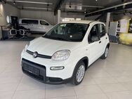 Fiat Panda, 1.0 GSE Hybrid (312), Jahr 2022 - Lauchringen