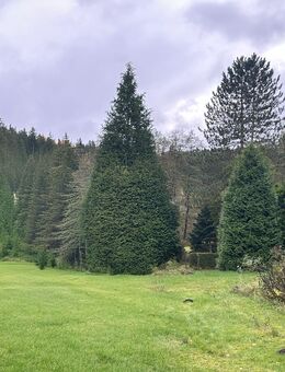 Idyllische 2-Zimmer-Wohnung in grüner und ruhiger Lage - Amtsberg