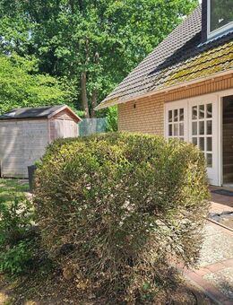 Frisch sanierte 4-Zimmer-Wohnung - Stadtnah wohnen direkt am Wald! - Nienburg (Weser)