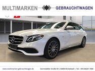 Mercedes-Benz E 220 Avantgarde T d EU6d-T Sport/Niveau/AHK/LED - Bickenbach (Hessen)