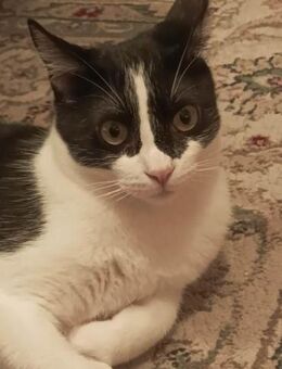 Sohn Edgar und Mama Wilma - Lenzen (Elbe) Zentrum