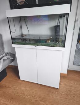 Wasser Schildkröte inkl Aquarium und ganzes Zubehör - Kempten (Allgäu)