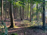 Outdoor Treffen Heute Abend oder Morgen - Jagstzell