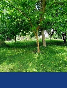 Einfamilienhaus mit schönem Garten für Familien in gesuchter Lage - Friedberg (Hessen)