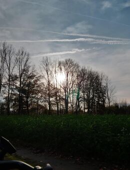 Gesucht : Vermietung ab 50 Quadratmeter Kreis Herford - Halle (Westfalen)